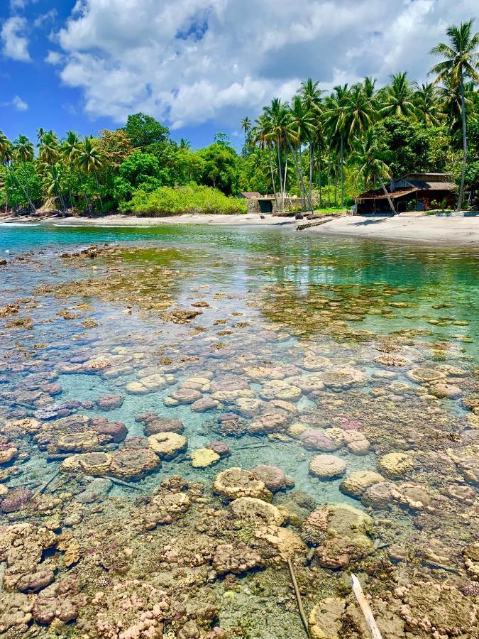 Pristine Paradise Dive Resort - Togean Islands, Una Una Pulau Unauna Dış mekan fotoğraf